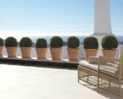 Andalucían Grandeur At The Finca Cortesin Hotel Golf and Spa, Spain