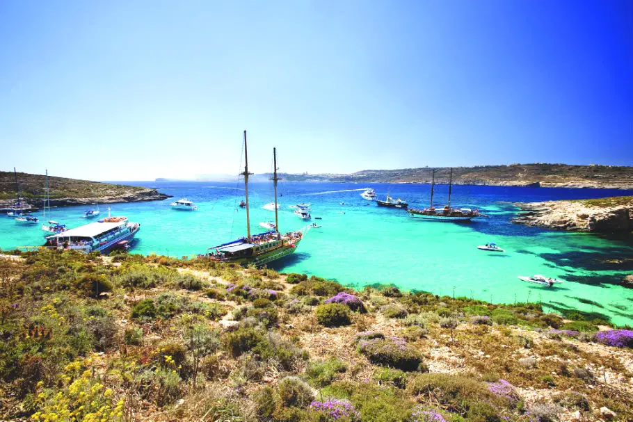 Luxury-Harbour-Marina-Malta-10