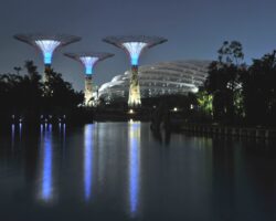 Contemporary Gardens by the Bay, Singapore