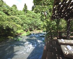 A luxury healing and wellness resort, Fivelements, Bali