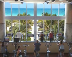 Boutique hotel dedicated to wellness – Canyon Ranch, Miami