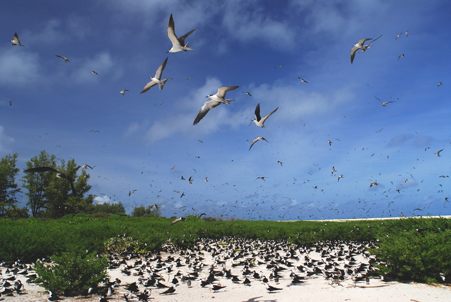 Seychelles-Islands-Indian-Ocean-Adelto-03