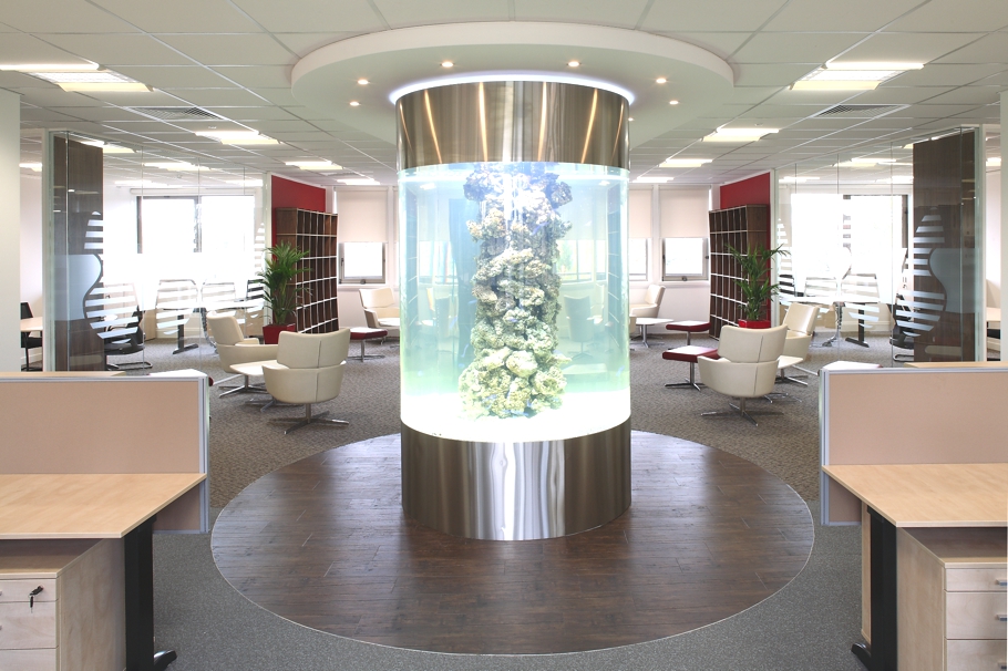 Contemporary-Office-Design-Adelto-08
