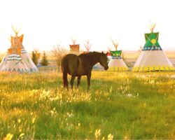 Nevada’s eco-chic Mustang Monument resort opens