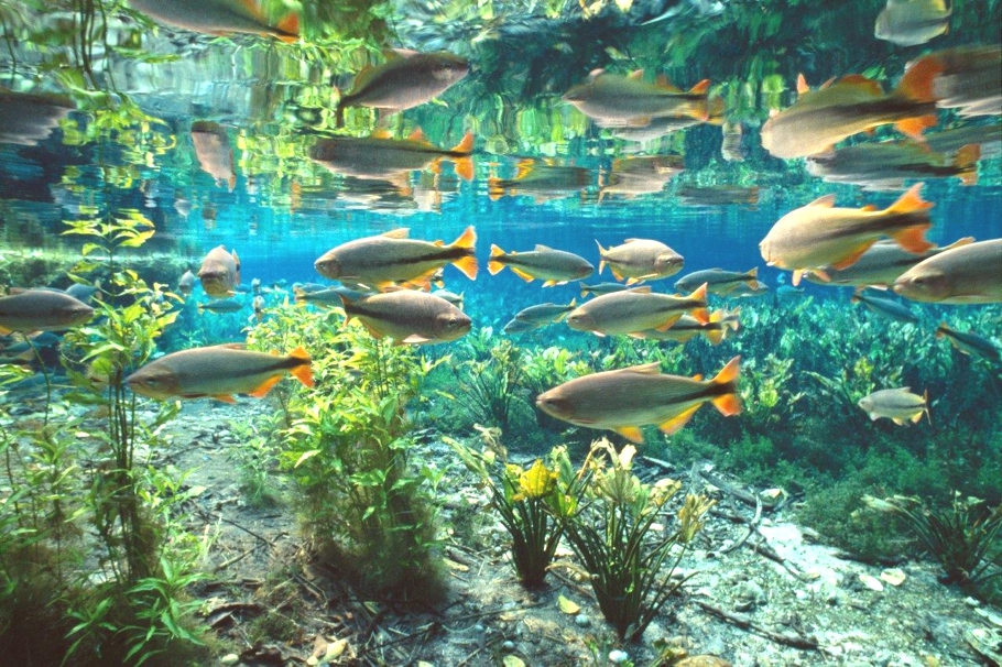 10-best-eco-travel-holiday-destinations-adelto_01