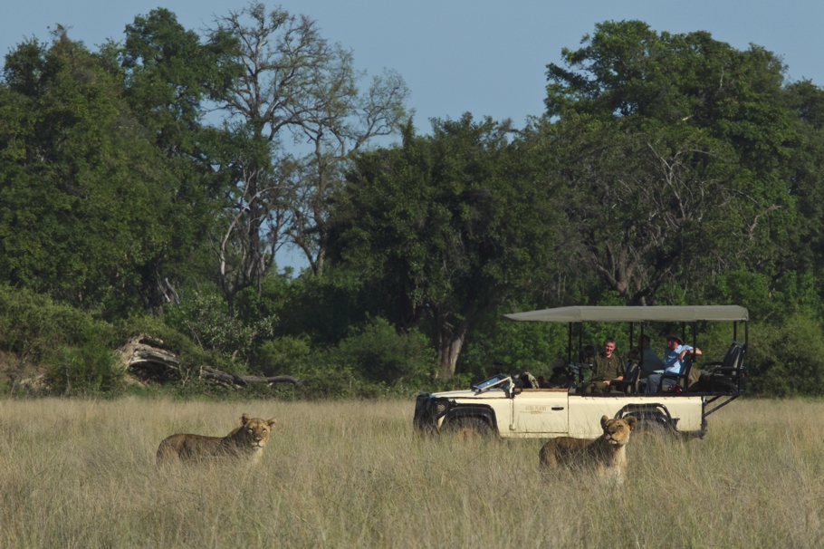 10-things-about-kenya-dereck-joubert-adelto-02
