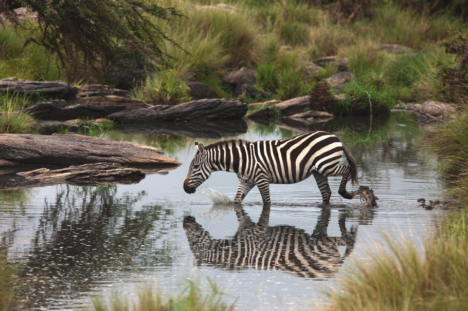 10-things-about-kenya-dereck-joubert-adelto-03