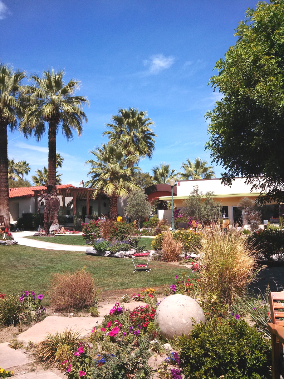 reasons-to-visit-palm-springs-california-adelto-04
