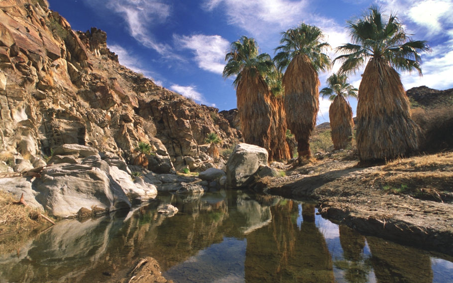 reasons-to-visit-palm-springs-california-adelto-06