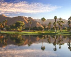16 reasons that will make you want to visit Palm Springs