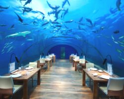 World’s first undersea restaurant celebrates 10th anniversary
